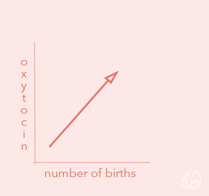 What does oxytocin do in parents
